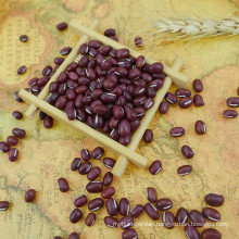 Small Red Beans and rice